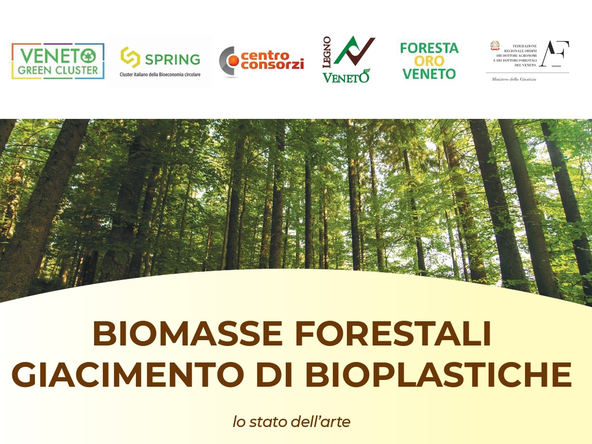 Biomasse Forestali un Giacimento di Bioplastiche